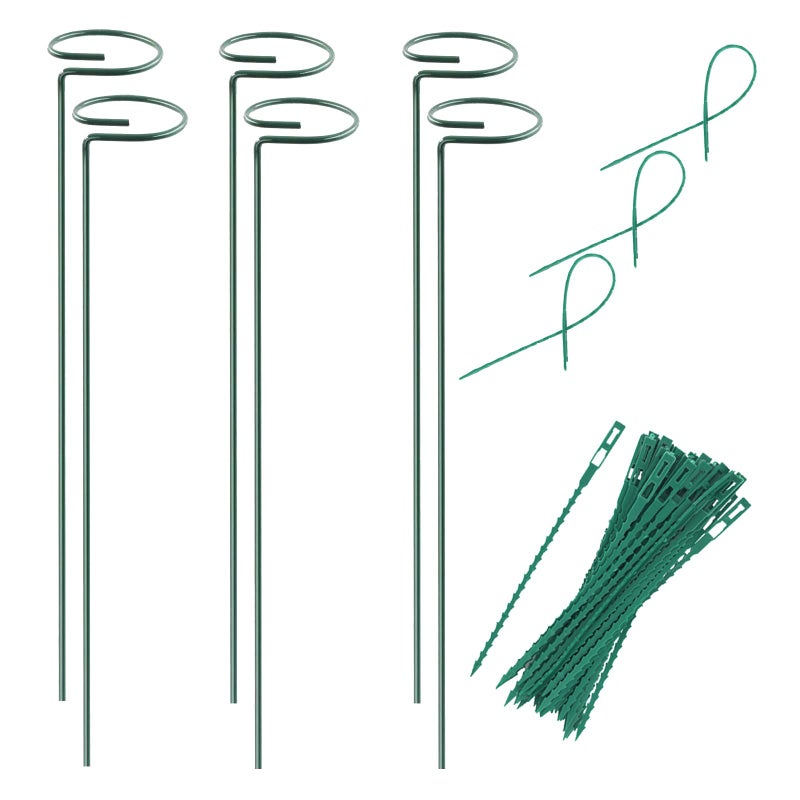 RAIKEDR Plant Stake Support - 6 Pack, Garden Single Stem Support Stake Plant Cage Support Rings, Single Stem Plant Support Stakes, Plant Twist Ties, for Flowers Amaryllis Tomatoes Peony Lily Rose (15.9 inch) - Image 1