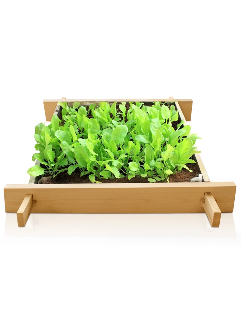 Enthusiast gardenbed, 1.6 Foot x 1.6 Foot, White Wood Raised Garden Bed Outdoor, planter box for home gardening, starter kit to grow flowers, herbs, vegetables, succulents, microgreens, wheatgrass, seed tray - Image 1