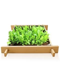 Generic Enthusiast gardenbed, 1.6 Foot x 1.6 Foot, White Wood Raised Garden Bed Outdoor, planter box for home gardening, starter kit to grow flowers, herbs, vegetables, succulents, microgreens, wheatgrass, seed tray  - Image 1