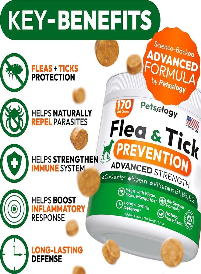 Petsology (2 Pack) Flea and Tick Prevention for Dogs Pills - 340 Chews - Natural Dog Flea & Tick Control - Oral Defense Treatment for Dogs Supplement - Vet Formulated - All Breeds & Ages - Made in USA - Image 2