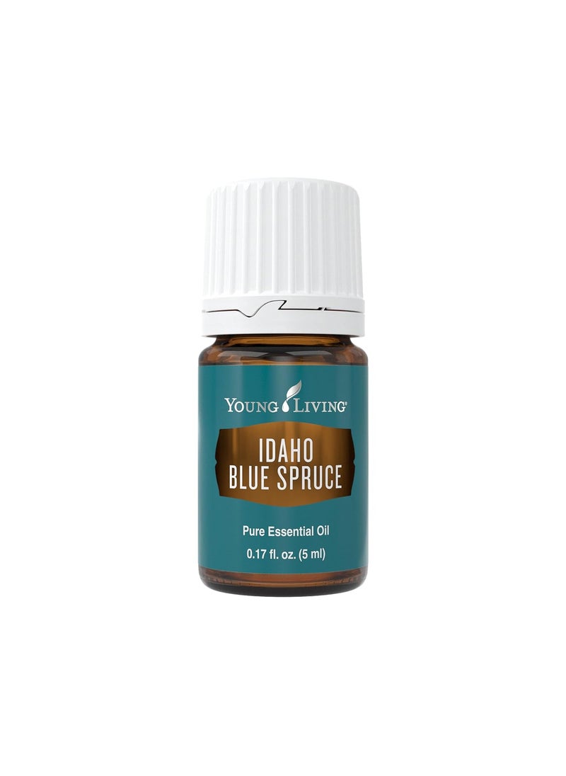 Young Living Young Living Idaho Blue Spruce Essential Oil, 5ml, Topical Application for Tired Muscles, Enhances Masculinity, Ideal for Meditation and Yoga Aromatherapy 