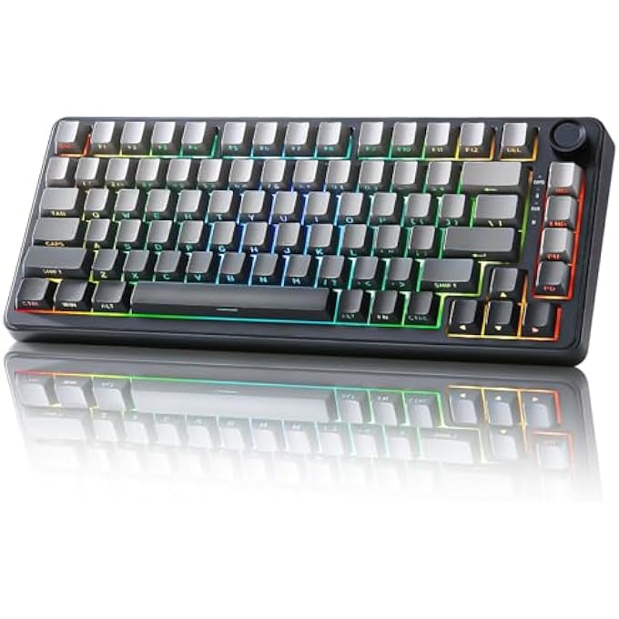 rayihni B75 MECHANICAL KEYBOARD,75% HOT SWAPPABLE KEYBOARD WITH KNOB,RGB BACKLIT GASKET GAMING KEYBOARD WITH DOUBLE-SHOT PBT KEYCAPS,CHERRY PROFILE,WIN/MAC (GRADIENT BLACK, BLUE GREY TACTILE SWITCH) - Image 1