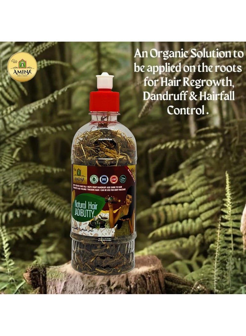 Amina Natural Hair Jadibuti For Men And Women | 100% Natural | 175g - Image 2
