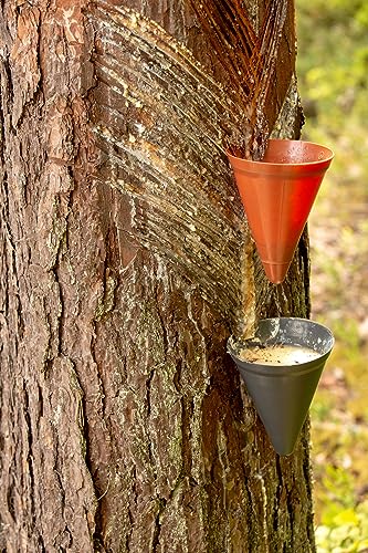 Aroma Depot Indian Frankincense 100% Pure Natural Gum Organic Aromatic Tear Rock Incense Tree Sap Olibanum Bulk Boswellia Serrata (4 Ounce) - Image 2