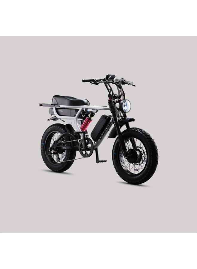 Flight Risk FR777 Electric Bike in Silver with Dual 1000W Motors (All-Wheel Drive), Shimano 7-Speed Gearing, and 4-Piston Tektro Hydraulic Disc Brakes for High-Performance Off-Road Riding - Image 1