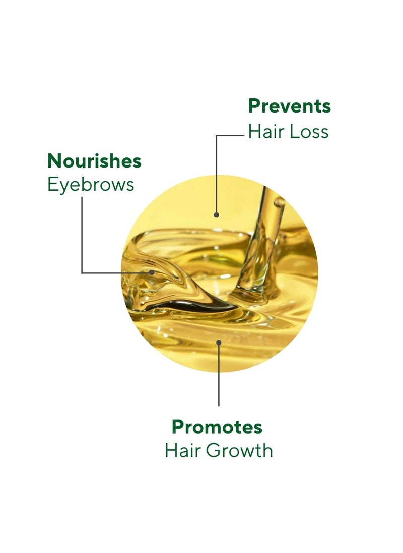 the CEEL - THE CEEL Miraculous Rosemary Oil 50 ml - Image 1