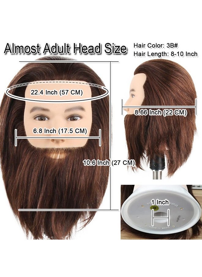 Newshair Male Mannequin Head With Beard 100% Human Hair Haircut Training Head With Thick Hair Hairdresser Manikin Head Doll Head For Styling And Practice Handsome Face Adult Head Size (810Inch 3B)  - Image 4
