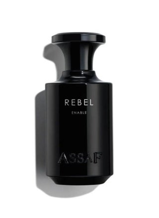 عطر ريبل انيبل - المتمرد 100 مل - pzsku/Z4D9D7FAE6E4A423D25FCZ/45/1744128741/7da0111b-4714-460d-ba28-818d9f4e5458