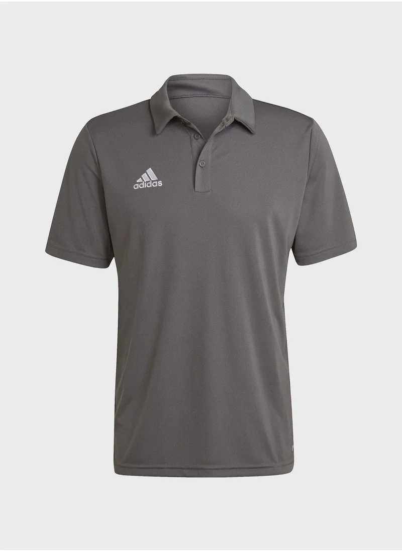 Adidas Entrada 22 Polo Shirt