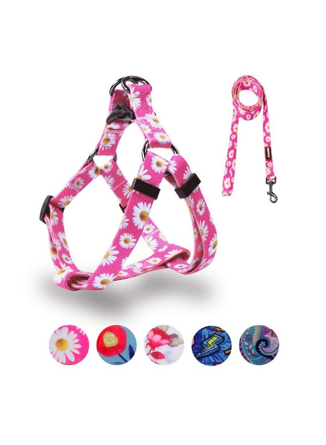 كيوكيو بيتس مجموعة أحزمة الكلاب من QQPETS قابلة للتعديل ومتينة بدون سحب، مناسبة للكلاب الصغيرة والمتوسطة والكبيرة، مزودة بمشبك خلفي مضاد للالتواء، مثالية للمشي (مقاس XS (محيط الصدر من 12 إلى 18 بوصة)، لون ديزي) - Image 1