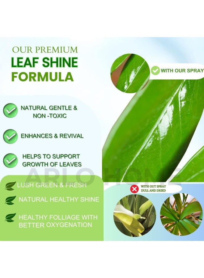 رذاذ اللمعان لورق الربيع 600 مل للنباتات الداخلية والخارجية - Image 2