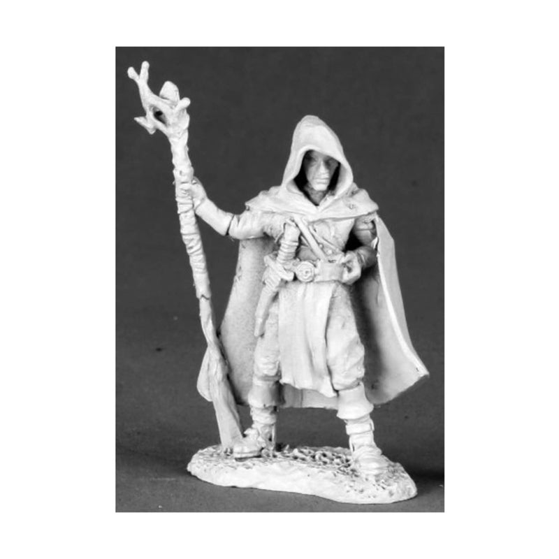 Reaper Miniatures Karahl Farstep Wizard Dark Heaven Legends - Image 2