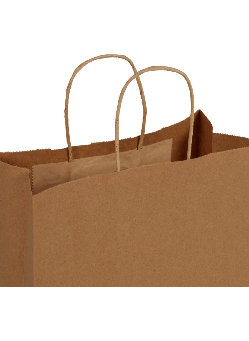 Packanya 25x12x31-200 Pieces Twist Handle Kraft Bag  - Image 3
