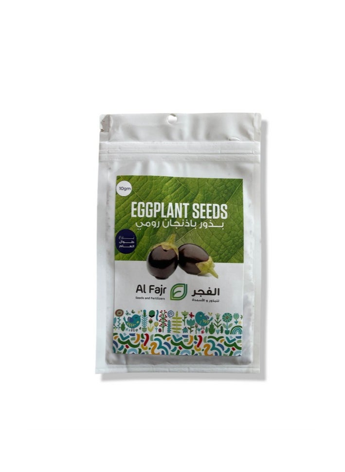 GROW Big-Eggplant seeds al-fajr  - Image 2