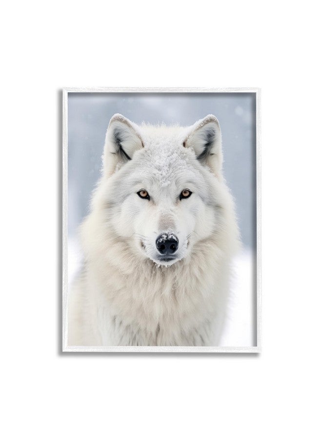 Stupell Industries White Wolf in Snow Framed Giclee Art by Ray Powers - Image 1