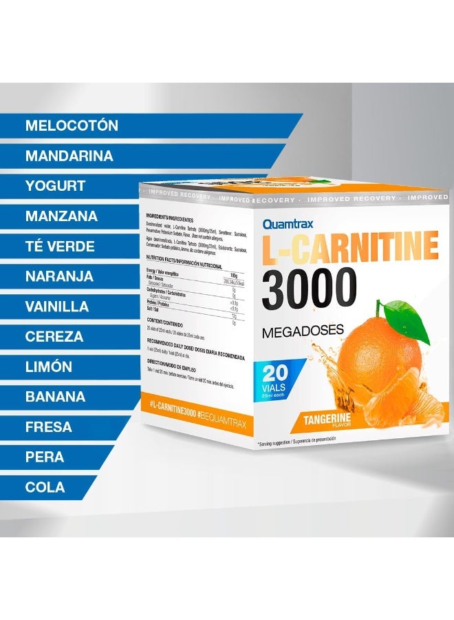 Quamtrax L-Carnitine 3000 Wild Fruits Flavor 20 Vials 25ml - Image 4
