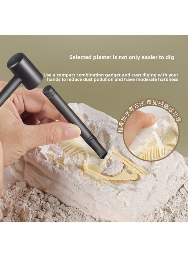 Archaeological Excavation Toys (wholesale) Dinosaur Fossils Science And Education Children's Handmade Diy Digging Gem Treasure-Color:Stegosaurus (hard Color Box Version)  - Image 5