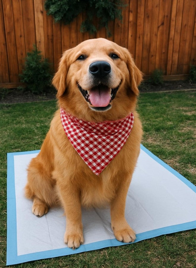 Caring Dog & Puppy Pads, Puppy Pads for Potty Training, Super Absorbent Chux Pads, Easy Clean Up, Disposable Changing Pads for Baby, 23"x 36" (50 Count) - Image 3