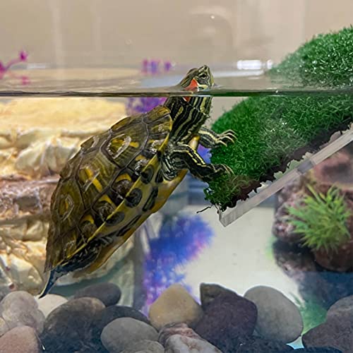 DoubleWood Lawn Turtle Basking Platform - Turtle Resting Platform with Simulation Grass, Ramp for Small Reptiles, Frogs, Terrapins (Medium) - Image 4