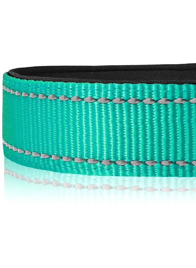 Joytale Reflective Dog Collar,Soft Neoprene Padded Breathable Nylon Pet Collar Adjustable for Medium Dogs,Teal,M - Image 4