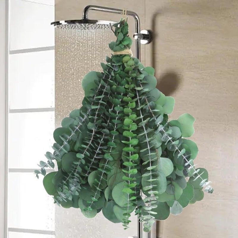 DTXMOH 24pcs Dried Eucalyptus Stems for Shower Hanging, 17'' Preserved Real Fresh Eucalyptus Branches, Shower Plant, Bathroom SPA and DIY - Image 1