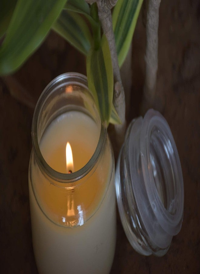 بيور سورس انديا شموع بيور سورس إنديا في برطمانات شمعية، بدون رائحة، (مجموعة من 3 شموع بيضاء) - Image 2