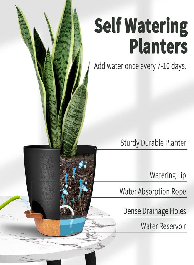 GARDIFE Plant Pots Set of 2 Pack 8 inch,Planters for Indoor Plants with Drainage Holes, Modern Decorative Flower Pots for All House Plants, Flowers, Black&Brown - Image 3