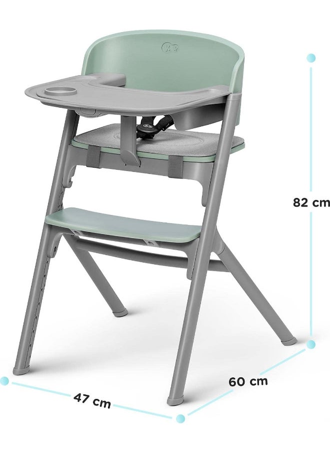 Livy High Chair - Aster Pink - pzsku/Z4DA7E98E3E0506A5E31AZ/45/_/1734417418/efc850f0-e040-42cd-a104-7734bf13086d