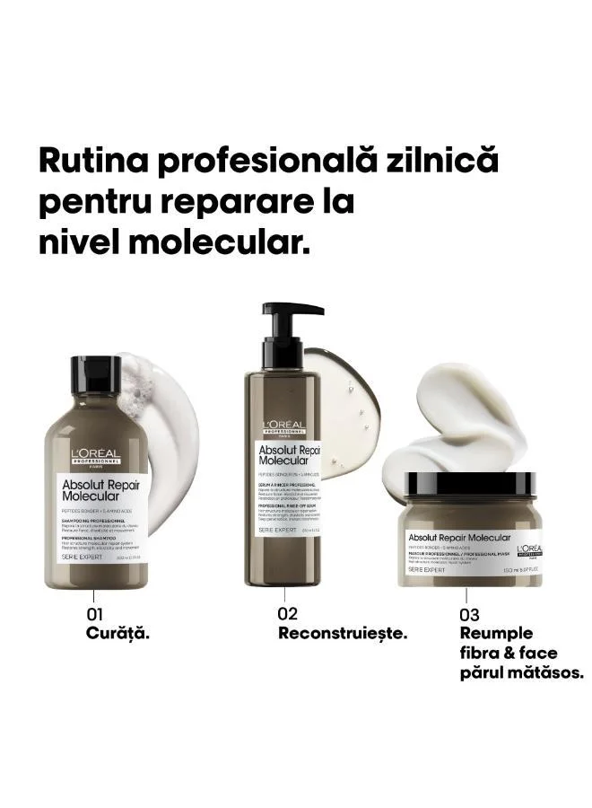 لوريال بروفيسيونال قناع شطف الذراع    مل