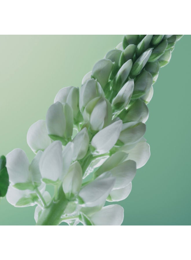 Yves Rocher Anti-Hair Loss Fortifying Conditioner 200ml - Image 5