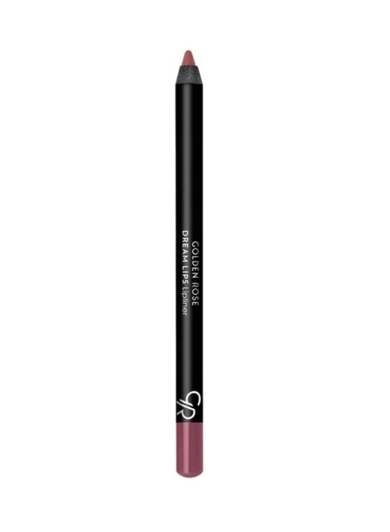 Golden Rose Dream Lips Lipliner no.510