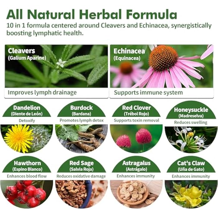 Nurbetoxa قطرات تصريف اللمف من كليفرز لتنظيف نظام اللمف، مكمل دعم اللمف مع إشنسا، مخلب القط، مستخلص البرسيم الأحمر، استخدم مع أداة تدليك اللمف. 2 أونصة - Image 4
