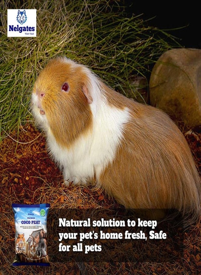 nelgates Cocopeat Animal Bedding for Pets, Natural Coconut Coir Ideal for Hamsters, Gerbils, Rabbits & Pigs, Parrots,Guinea Pigs 2kg - Image 3
