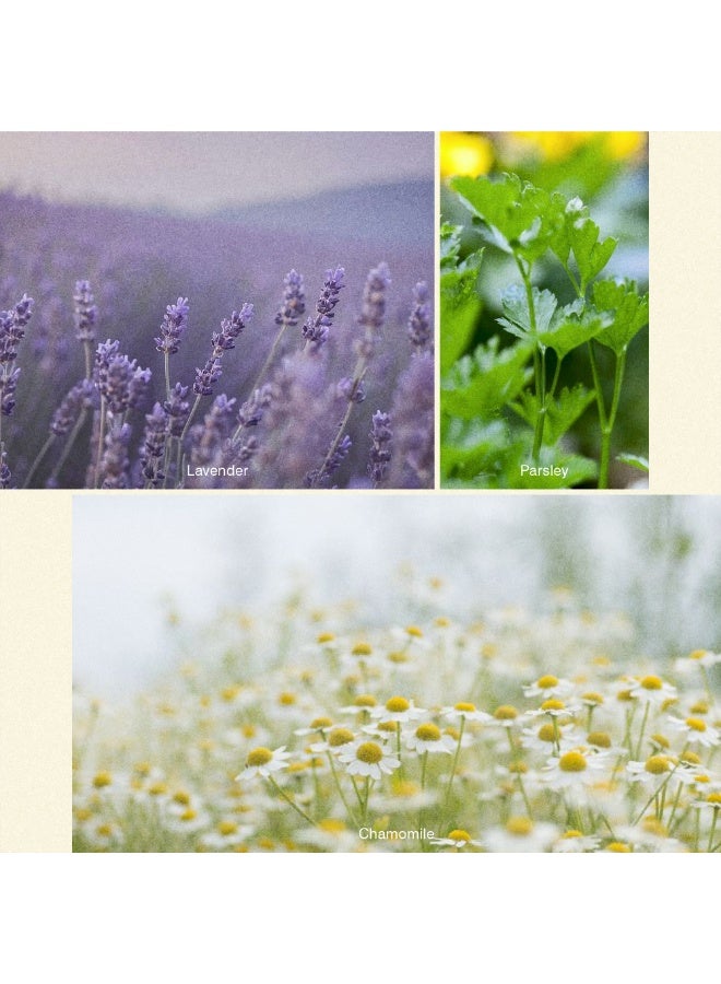 ISCENT | Grasslands – Oil Refill for Ensō Diffuser -100ml | Home Fragrance Oil with Lavender, Chamomile & Parsley | Herbal Freshness, Floral Calm & Green Earthiness - Image 2