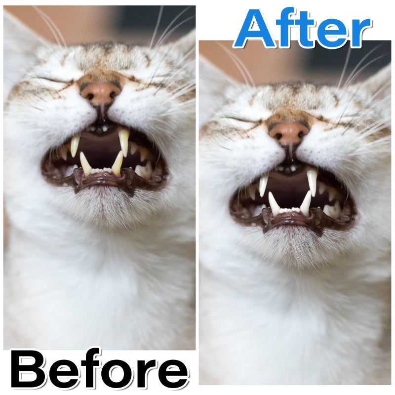 EupHHonycs 4 Pcs 360-Degree Small Dog and Cat Soft Toothbrush Pet Toothbrush for Puppy, Small Dog and Cat - Image 4