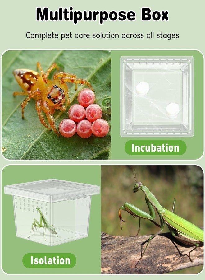باوفلي صندوق تربية عناكب صغير من باوفلاي، 20 قطعة، قفص عنكبوت قافز بلاستيكي شفاف، قفص لحفظ الصراصير، قفص للعناكب الرتيلاء، حاوية صغيرة لتفقيس الزواحف للعقارب، حريش الأرجل، أبو بريص، فرس النبي - Image 5