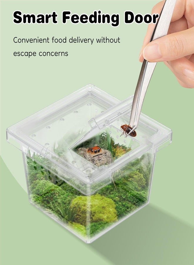 باوفلي صندوق تربية عناكب صغير من باوفلاي، 20 قطعة، قفص عنكبوت قافز بلاستيكي شفاف، قفص لحفظ الصراصير، قفص للعناكب الرتيلاء، حاوية صغيرة لتفقيس الزواحف للعقارب، حريش الأرجل، أبو بريص، فرس النبي - Image 4