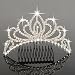 Bseash Mini 4.4" Silver Crystal Tiara Crown Headband Princess Elegant Crown with combs pin for Women Girls Bridal Wedding Prom Birthday Party - Image 2
