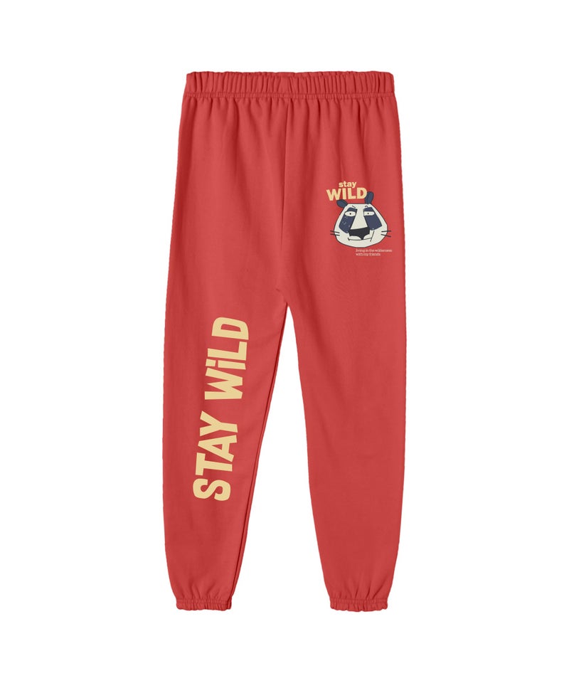SHODOX® Cotton Blend Regular fit Printed Multicolor Track Pants for Boys (Pack of 3) - Image 3