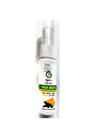 Logy Pack Fresh Breath Lemon And mint - pzsku/Z4DB589E5DA49449E7AAEZ/45/_/1683731819/69772528-5dbb-48c7-a60c-50b7b7660c72