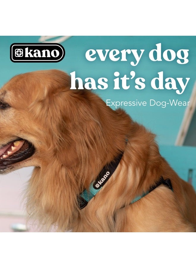 Kano KANO Dog Collar I Fully Adjustable and Made with Durable Polyester, Metal D-Ring and a Quality Buckle I Training, Walking, and Jogging Tool for Small, Medium, and Large Breeds I Carson  - Image 2
