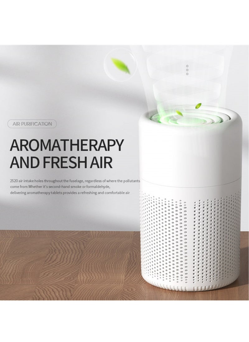 Aromatherapy Air Purifier with Activated Carbon Filters and H13 HEPA Network