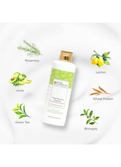Pure Elements Rosemary Lemon Deep Cleansing Shampoo Deep Cleansing (200 Ml)  - Image 2