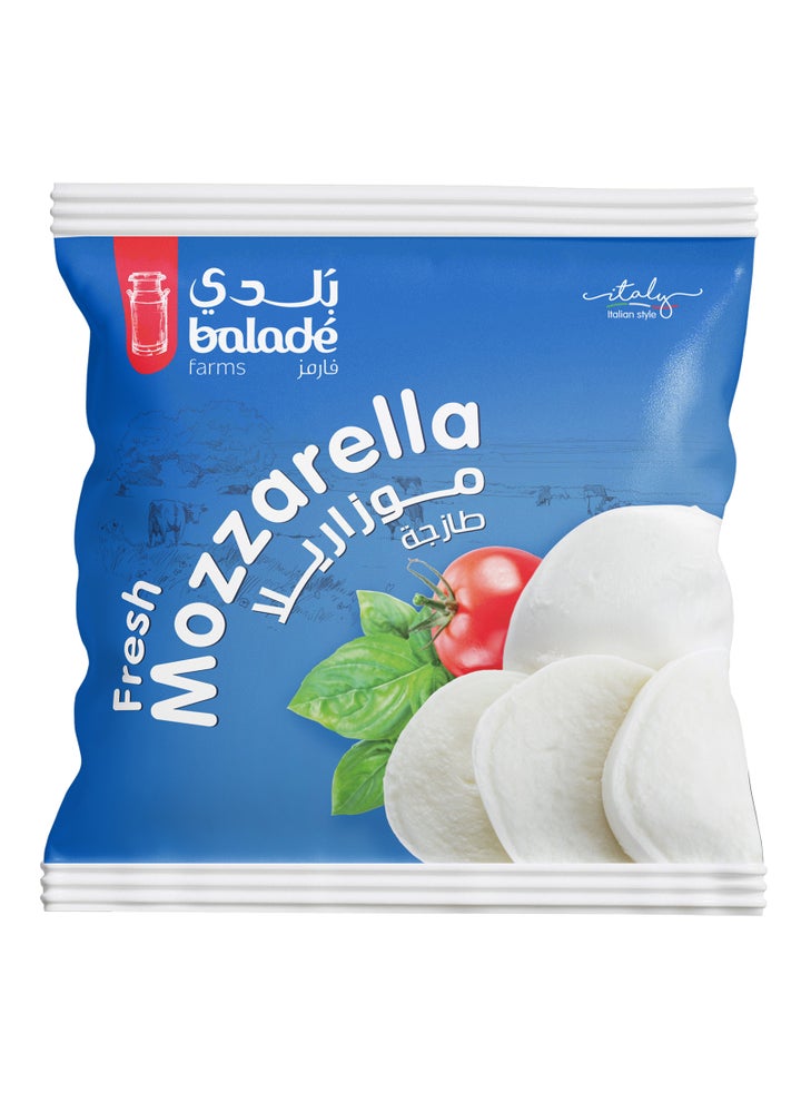 Fresh Mozzarella Cheese