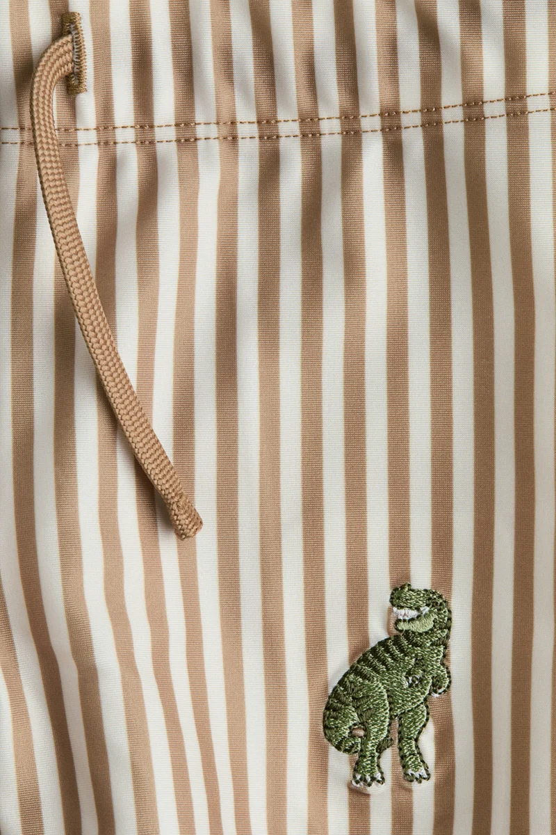 H&M Embroidery-motif swimming trunks