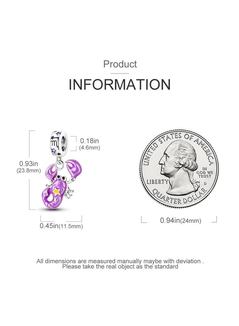 SYOSI 925 Sterling Silver Charm Pendant, Silver Pandora Dangle Bead for Bracelet, Necklace, Sterling Silver Charms Gift for Women and Girls - Image 4