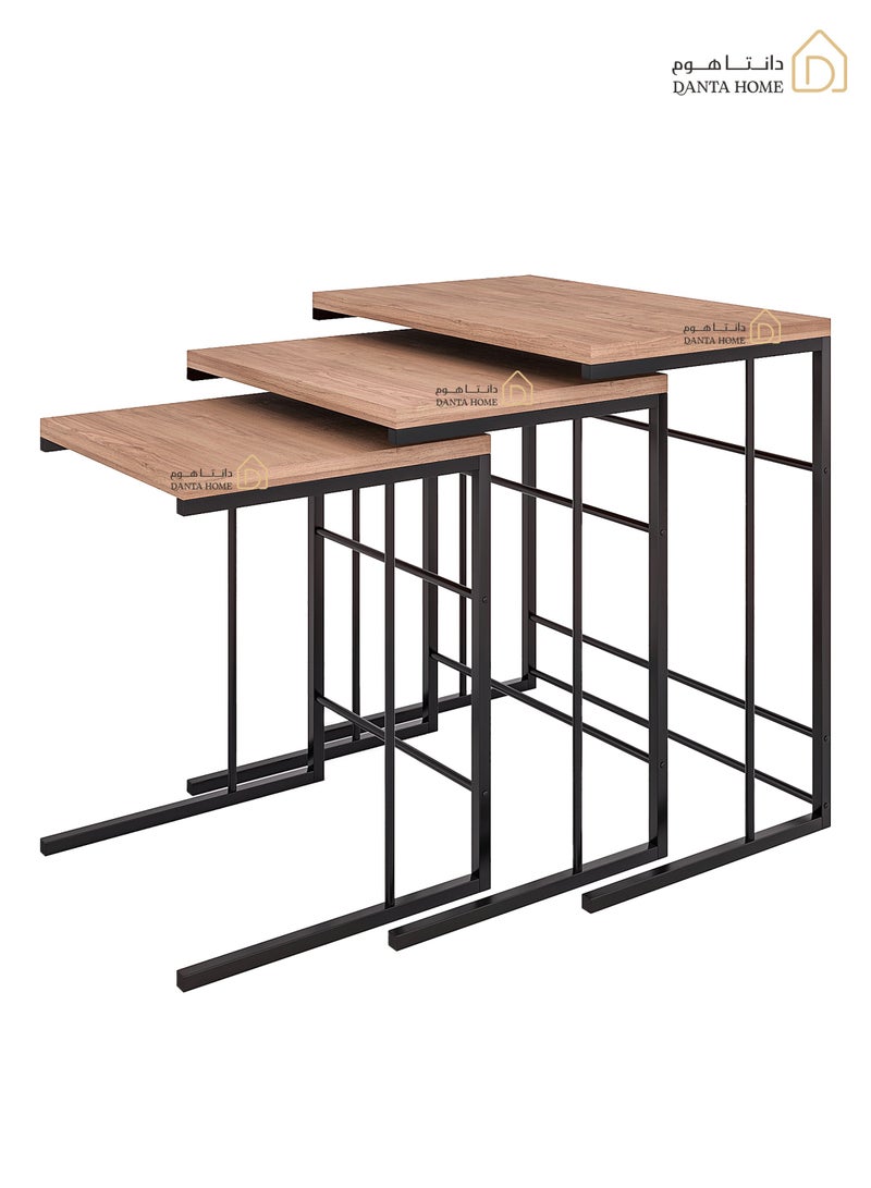 DANTA HOME Set Of 3 Side Table Coffee Tables Suitable For Placement Next To A Sofa, Wood Top And Metal Legs - Brown / Black - Image 1