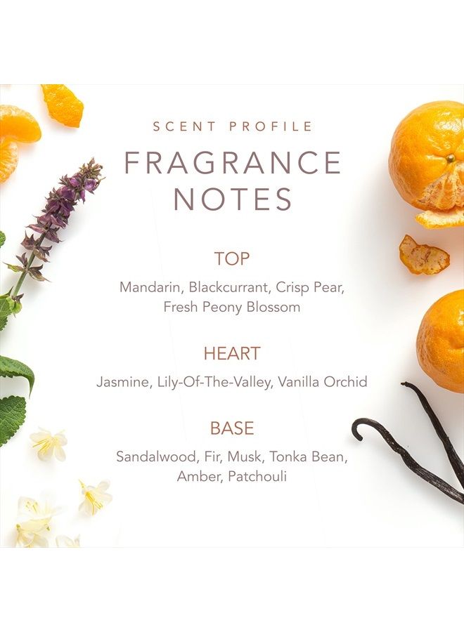 SCENT BEAUTY by Dolly Parton - Eau de Toilette - Scent From Above - Image 3