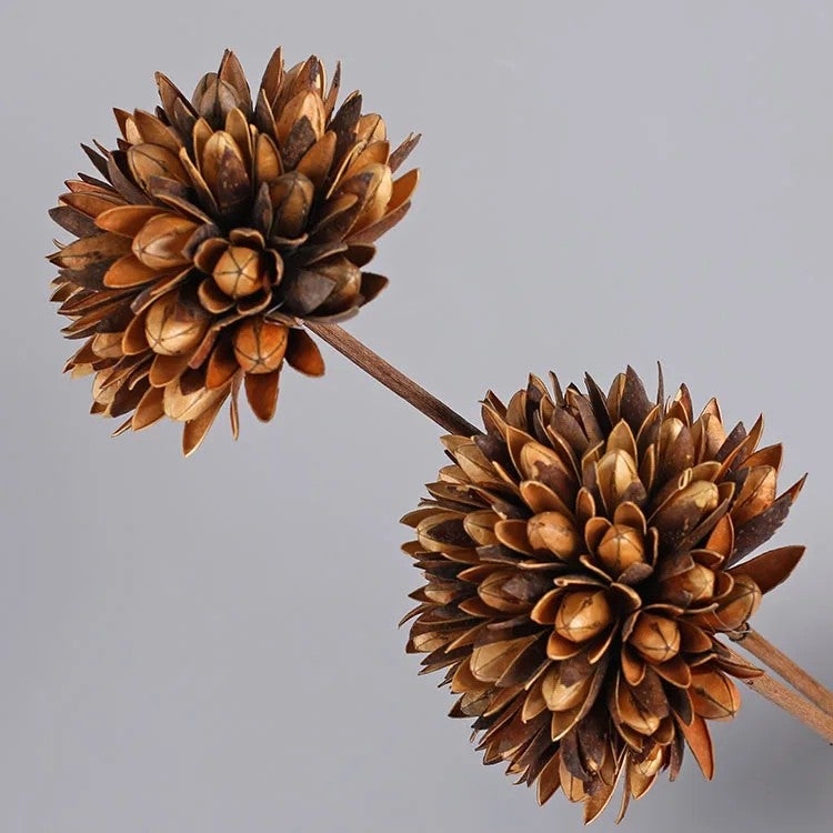 Bluejw Bulk Decorative Dried & Preserved Flowers Arrangements - Natural Dry Plants & Handmade Wooden Flower Décor - Image 1