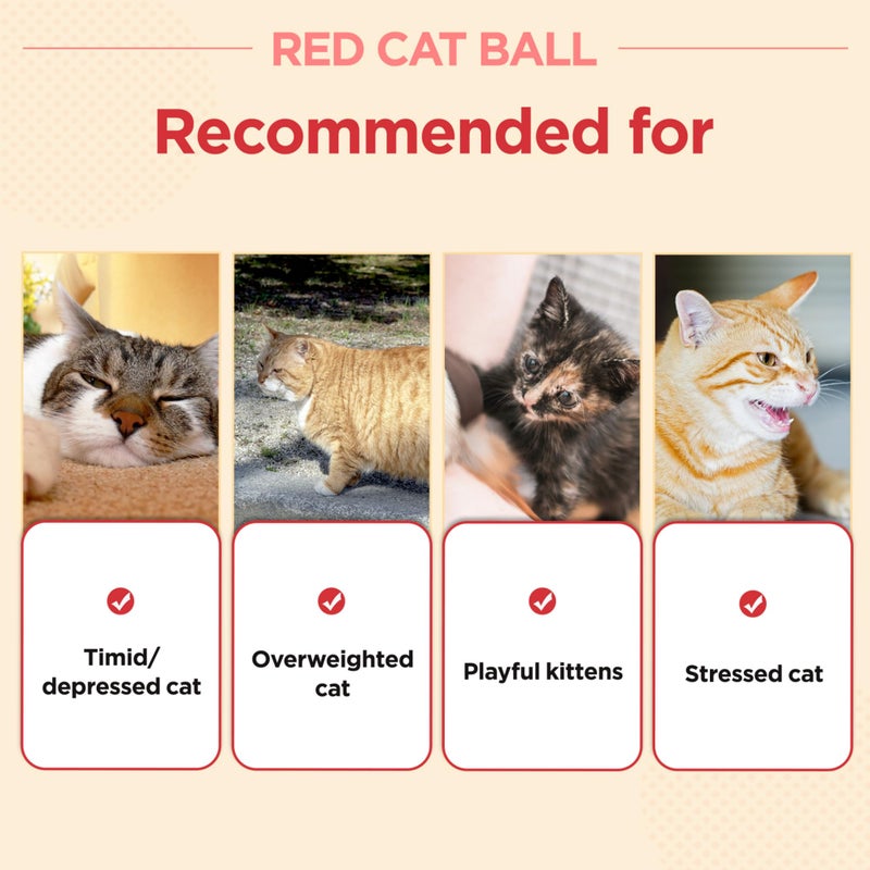 JAYU PET Red Cat Ball [W/O Bell Version] - Handmade Silvervine Cat Toy with Catnip, Interactive Matatabi Ball for Indoor Cats & Kittens, Feline Play Toy & Gift (2.7 inch) - Image 3